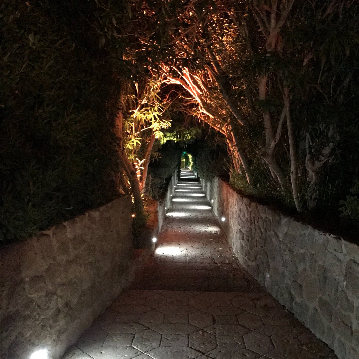 Camera Agriturismo Parata Grande | Isola di Ventotene