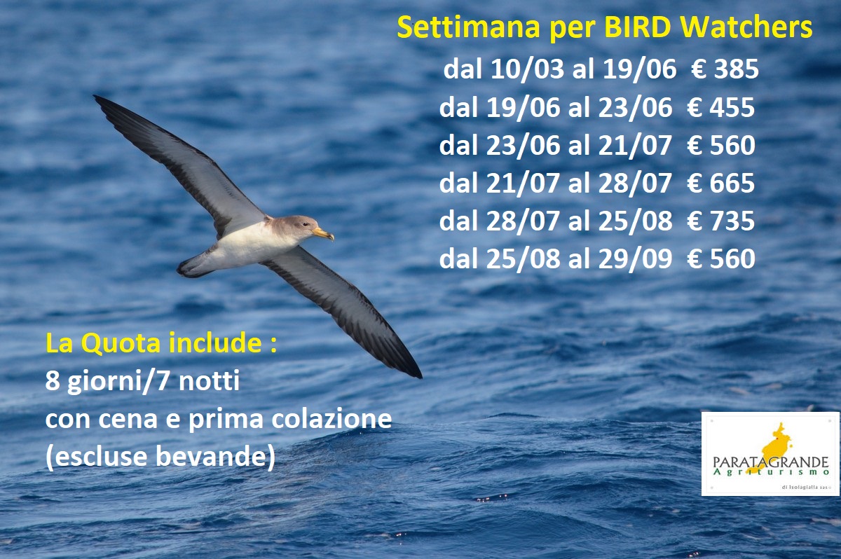 Settimana BirdWatcher