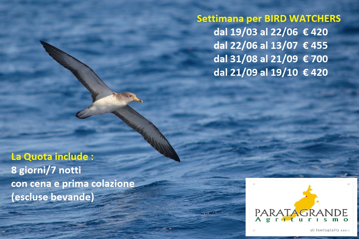 Settimana BirdWatcher